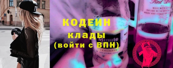 шишки Богородицк