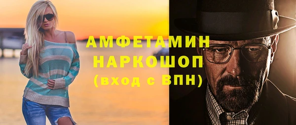 шишки Богородицк