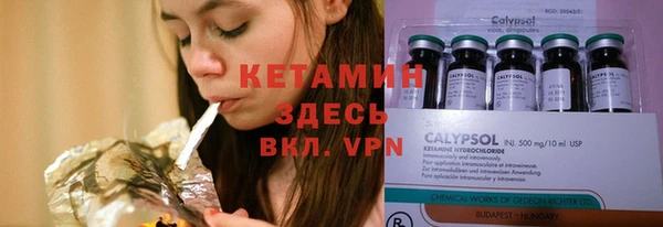 шишки Богородицк