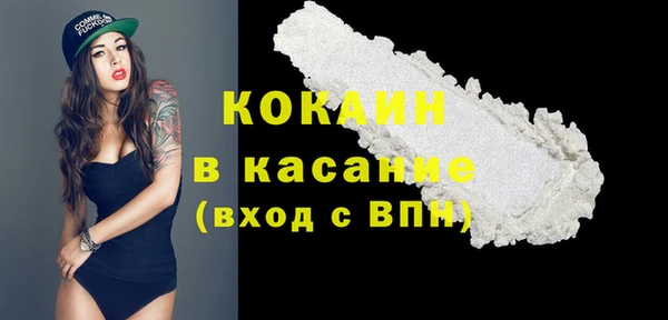 бошки Белокуриха