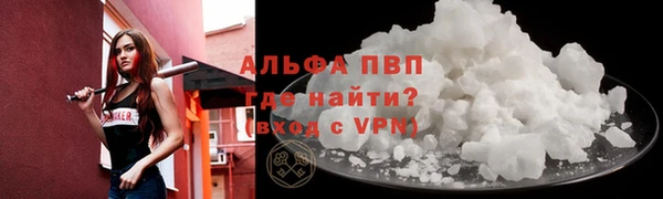 ешки Богданович