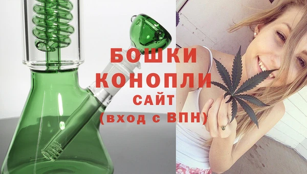 шишки Богородицк