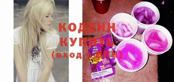 шишки Богородицк
