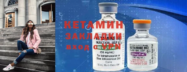 шишки Богородицк