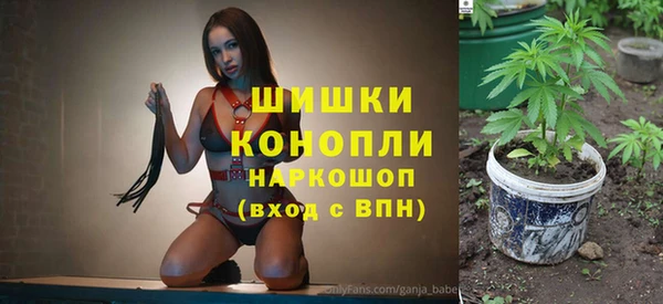 шишки Богородицк
