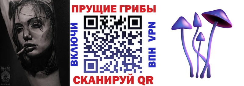 где найти наркотики  Пестово  Галлюциногенные грибы Psilocybine cubensis 